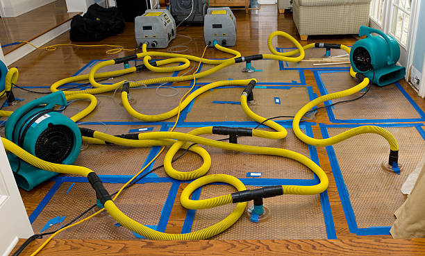 Professional Crawl Space Water Removal technician working in Elk Horn, IA